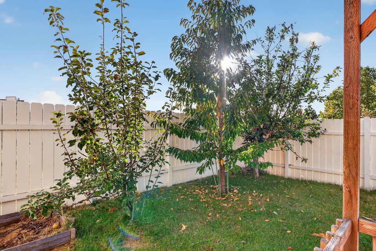 824 S Aspen St thumbnail 35