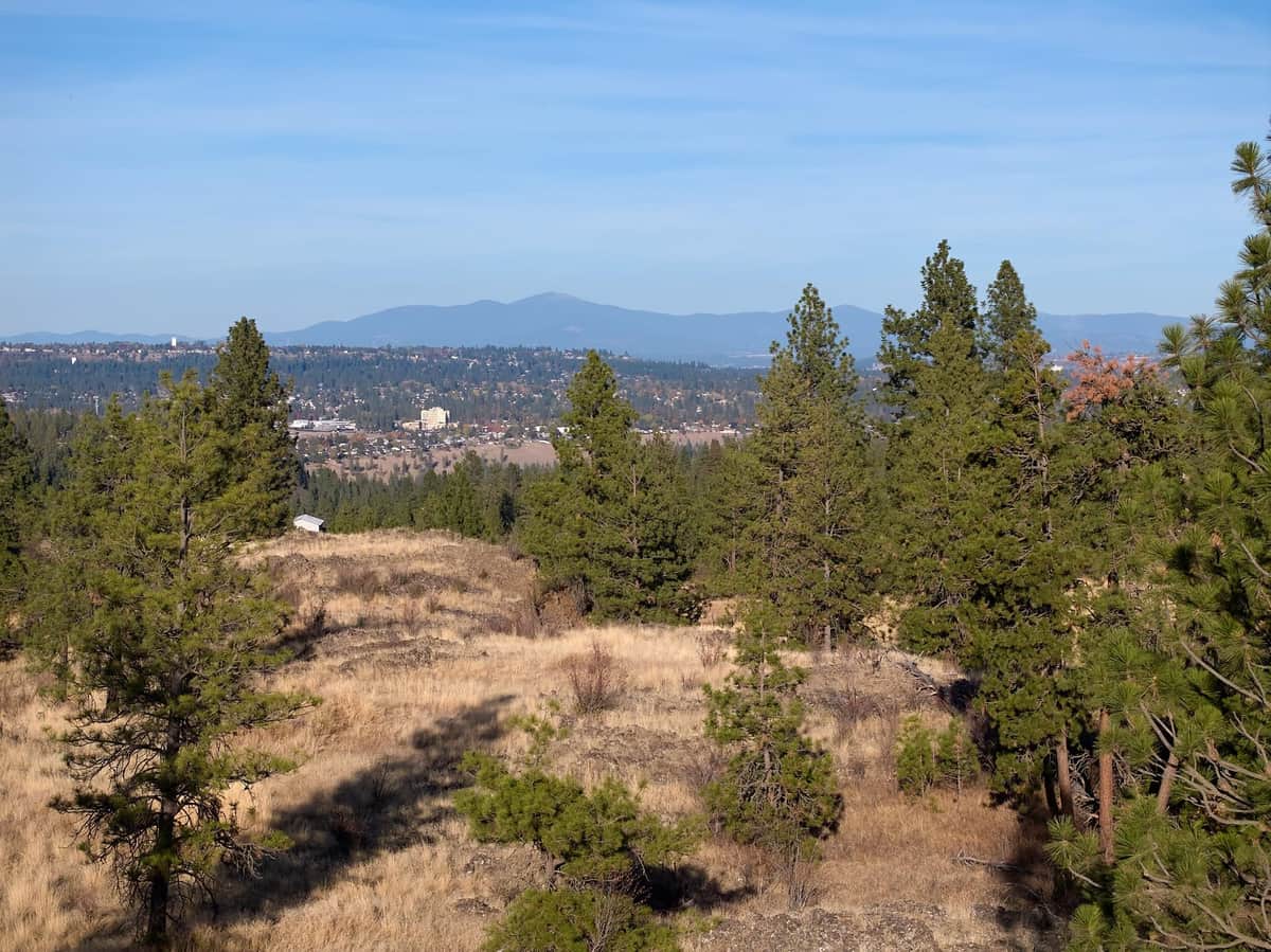 NKA W Mission Rd thumbnail 41