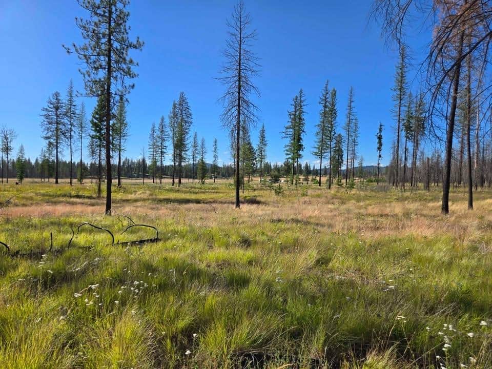 14xxx E Oregon Rd
