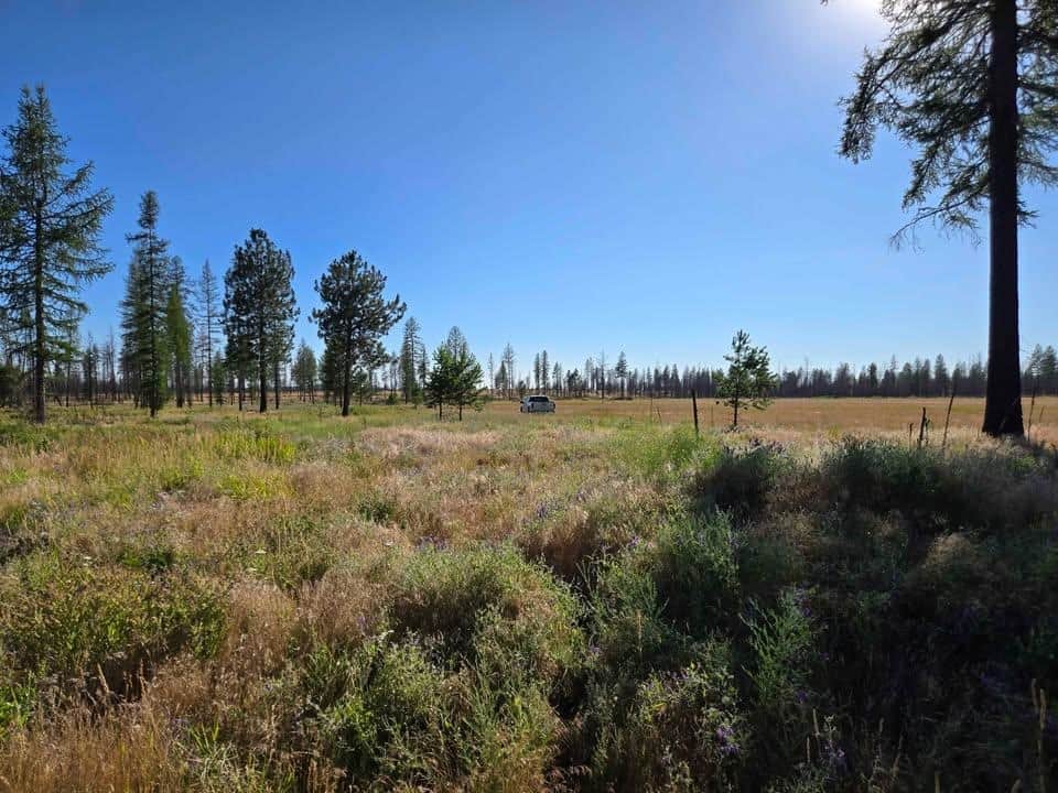 14xxx E Oregon Rd thumbnail 2