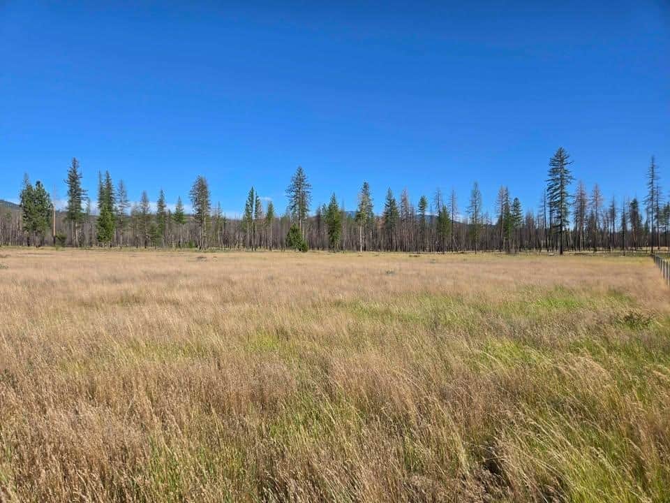 14xxx E Oregon Rd thumbnail 4