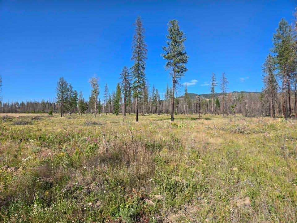14xxx E Oregon Rd thumbnail 6