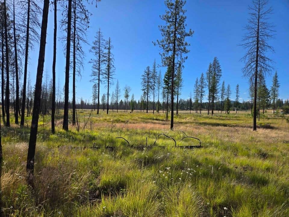 14xxx E Oregon Rd thumbnail 5